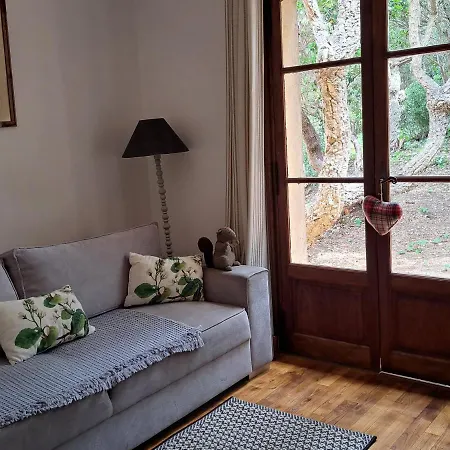 Bastide Presqu Ile De Giens Superbe Vue Piscine Villa *